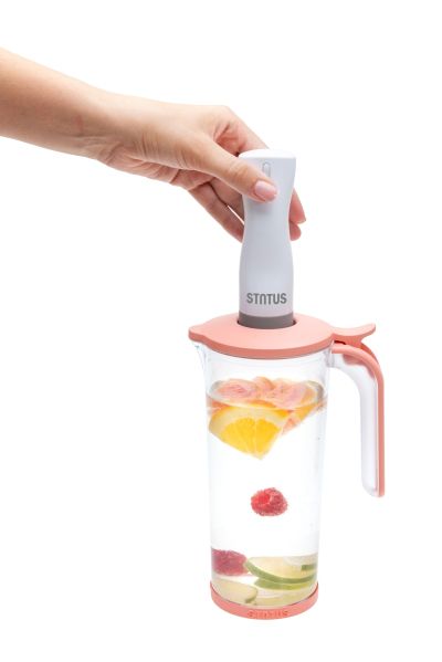 STATUS Електрическа вакуумна помпа BVP50