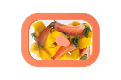 STATUS - Вакуумен контейнер от огнеопорно стъкло Viva 0,5L