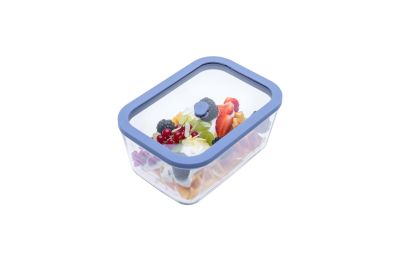 STATUS - Вакуумен контейнер от огнеопорно стъкло Viva 1,4L