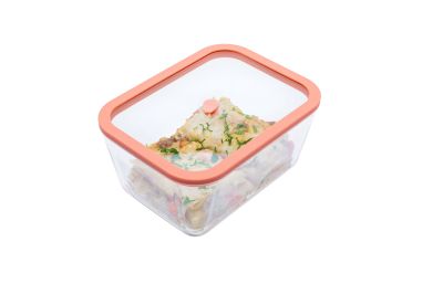 STATUS - Вакуумен контейнер от огнеопорно стъкло Viva 2,6L