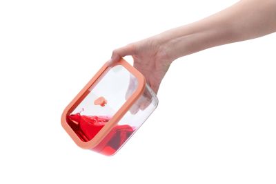 STATUS – Комплект вакуумни контейнери от огн. стъкло Viva, 4 части - 0,5L+1,4L+2,6L+ Eл. помпа BVP50